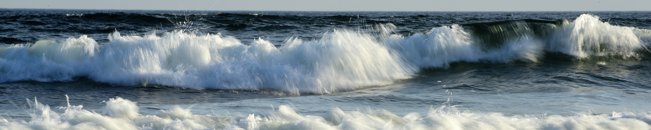 Lisa by Karin Witschi