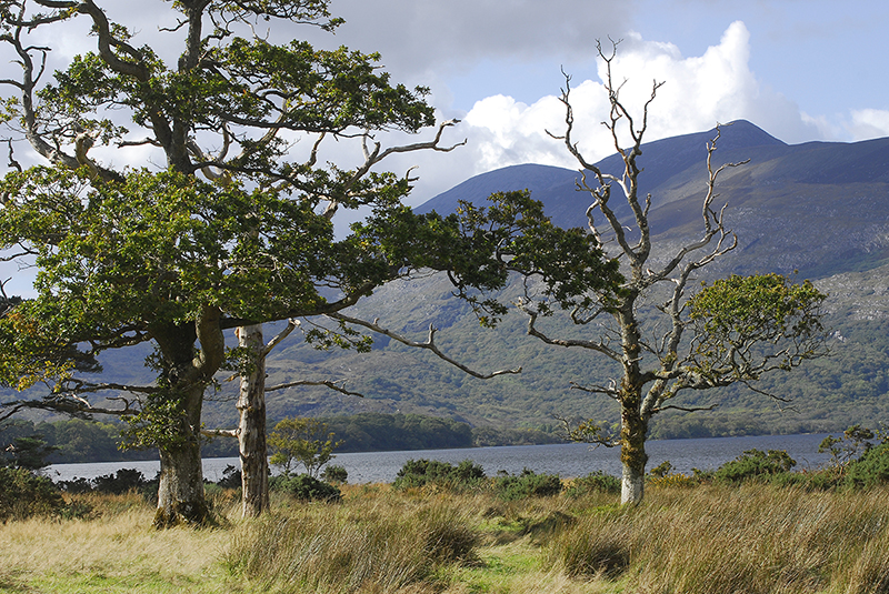 farbspektrum Killarney Nationalpark